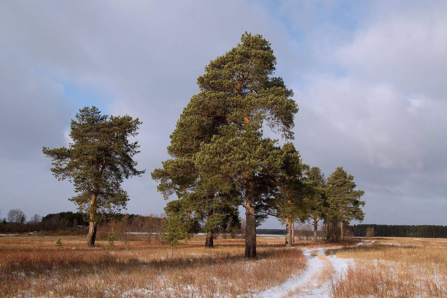 , Поташев Александр