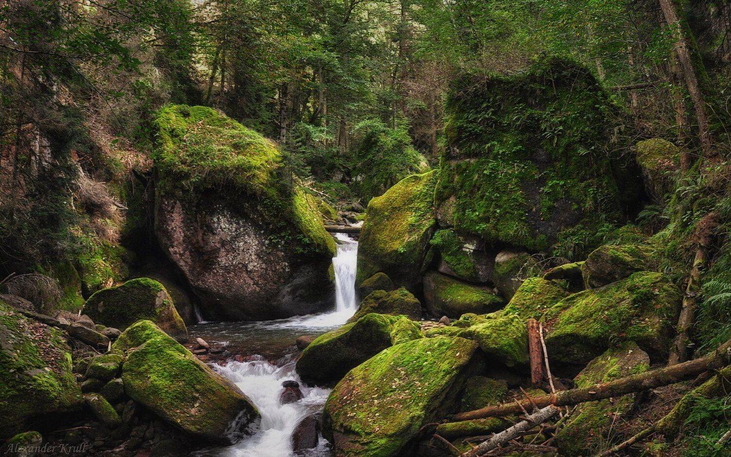 кавказ, кчр, шантацара, Александр Круль