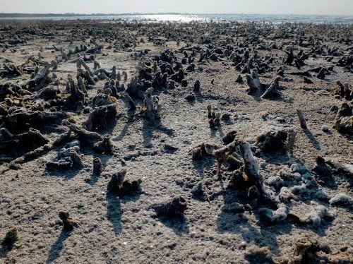 Pro солёные артефакты озера Сасык-Сиваш