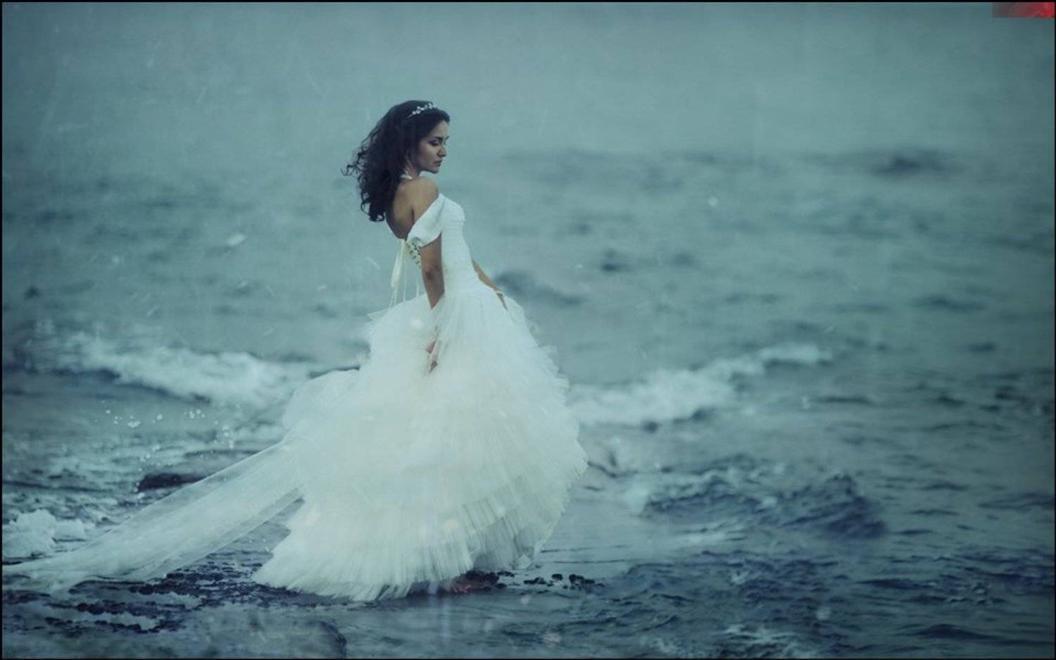 Lucas, Lucastudio, Andrew Lucas