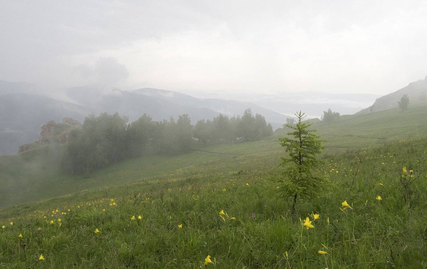 , Лещёнок Александр