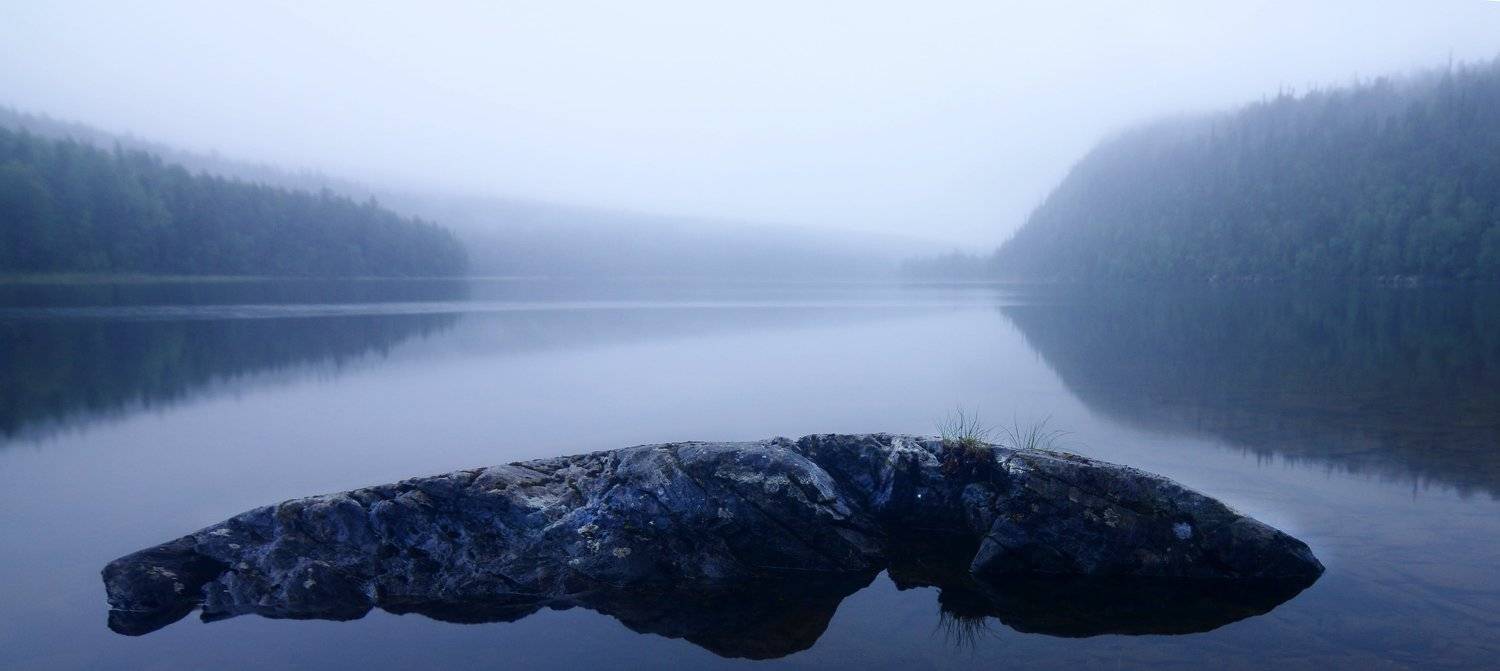 кукас, Денис Воронин