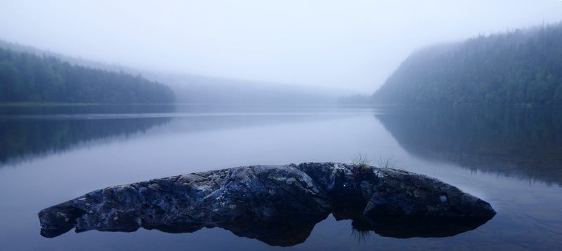 кукас Рыба фото превью
