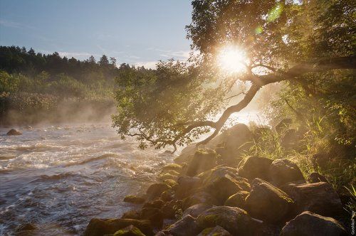 Солнечное и немного туманное утро на реке