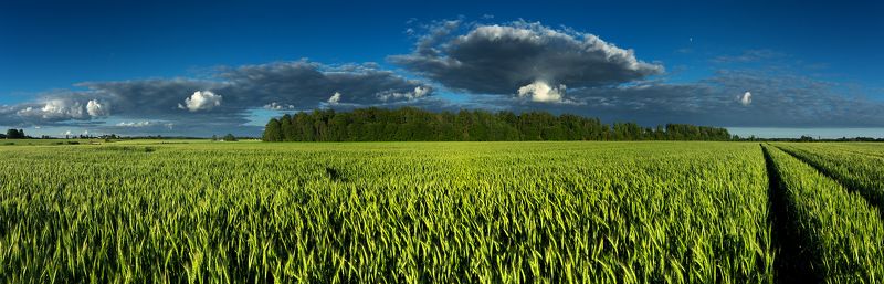 * * * фото превью