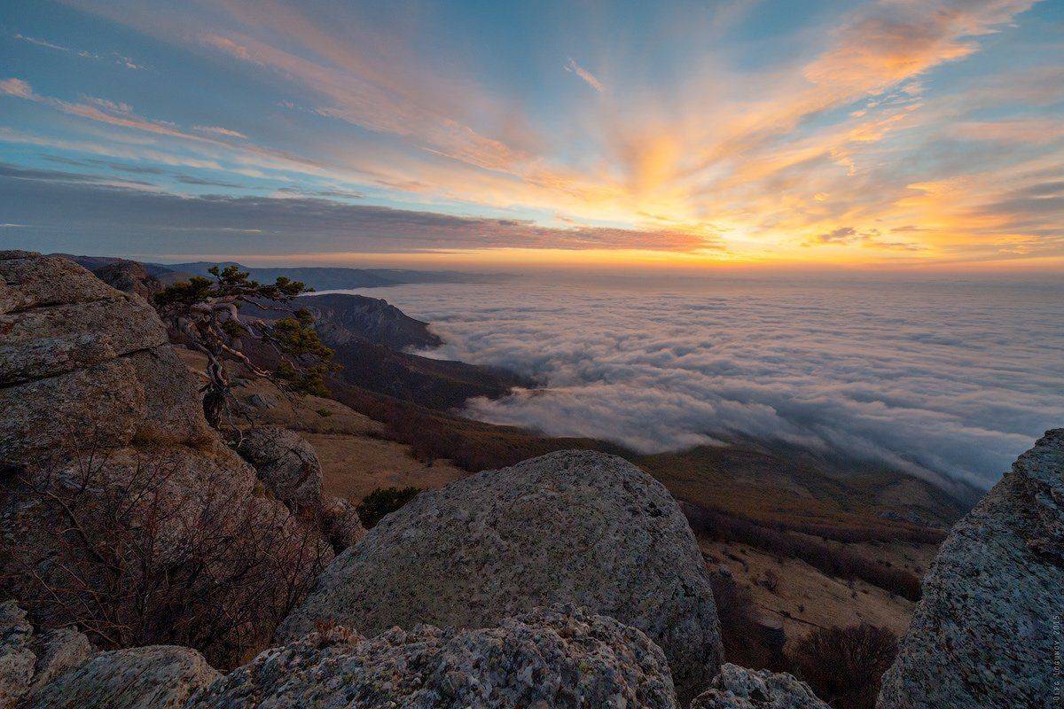 , Олег Логунов