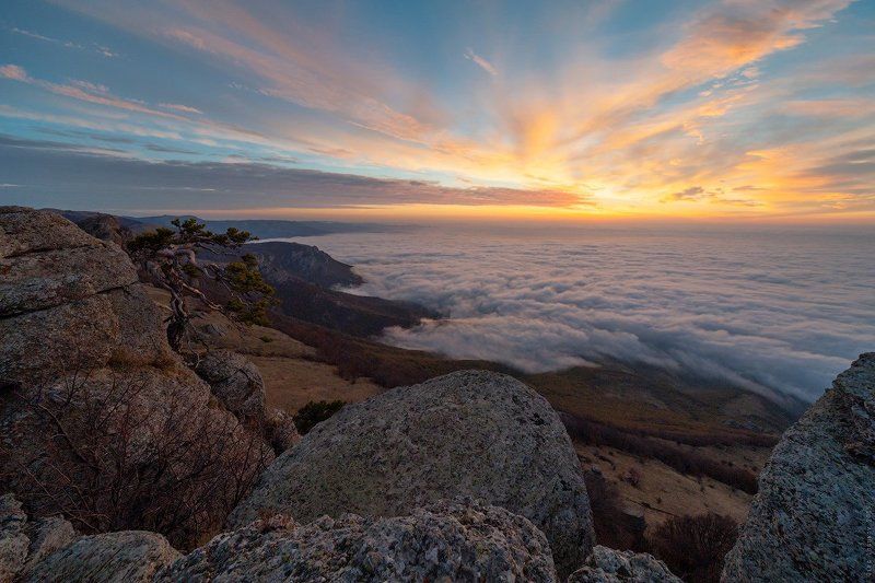 _ фото превью