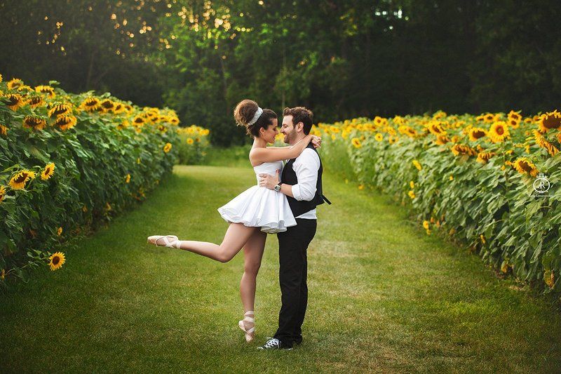 weddinf, park, sunflowers, wedding фото превью
