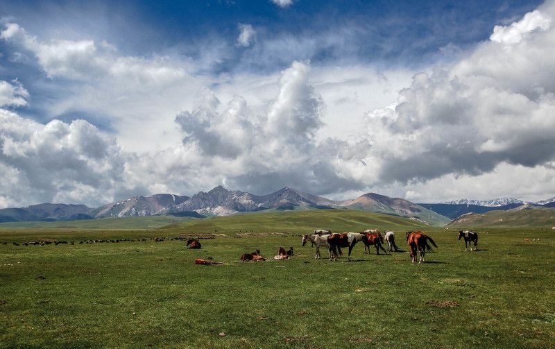 Song Kul(Сон кoл) - Kyrgyzstan фото превью