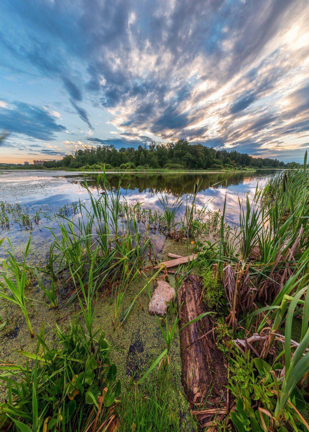 Долгопрудный, Пейзаж, Подмосковье, Пруд, Сергей Вьюнов