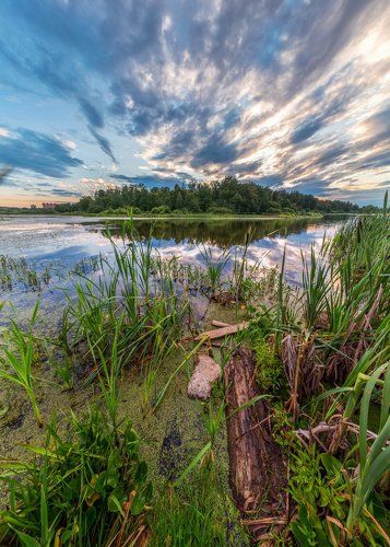 Долгие пруды