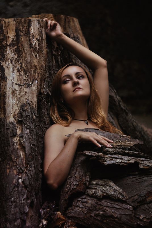 дриада, нимфа, лес, девушка, портрет Дриада фото превью