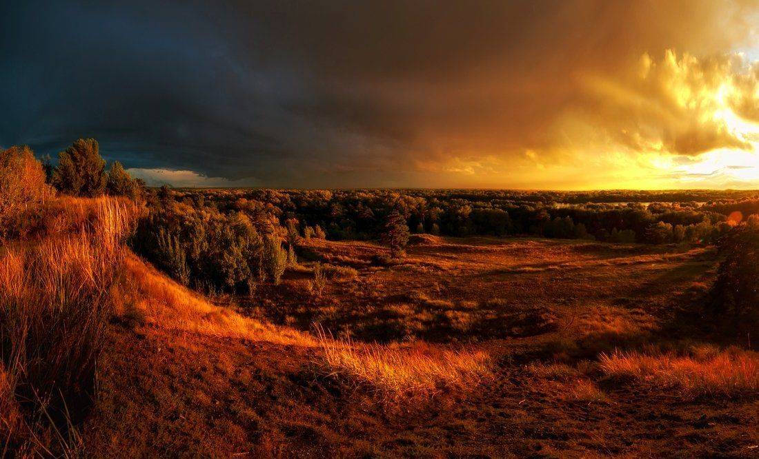 , Ратушнова-Осинцева Арина