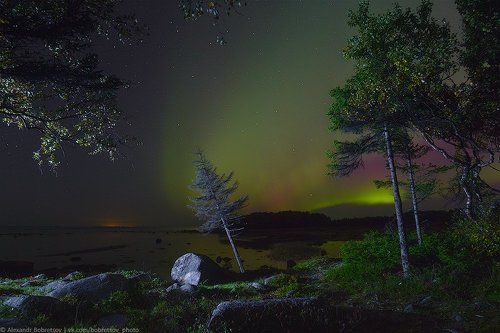 На берегу Белого моря