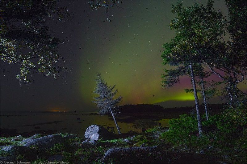 соловки На берегу Белого моря фото превью