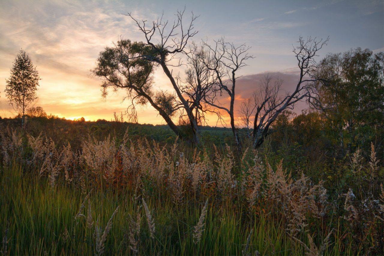 , Жмак Евгений