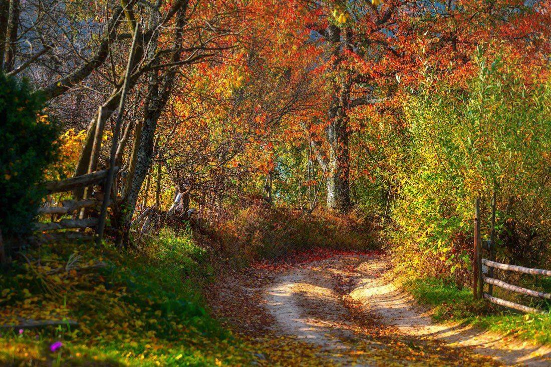 , Ярослав Тюрменко (Jaremi)