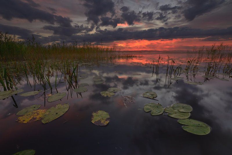 *** фото превью