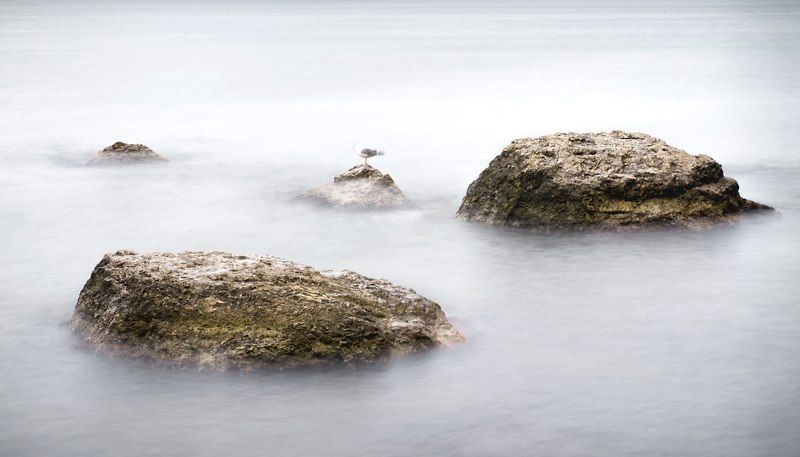 Bird, Landscape, Light, Nikon, Sea, Silence, Sky, Stones, Water Stones фото превью