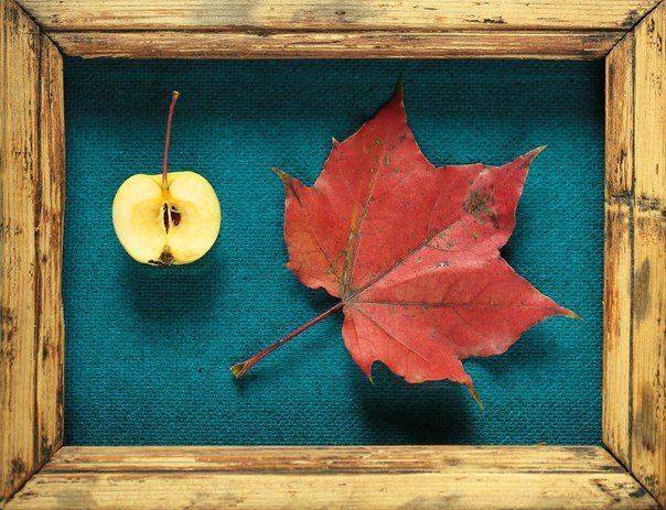 натюрморт, осень, яблоко, лист, Ончукова Наталья