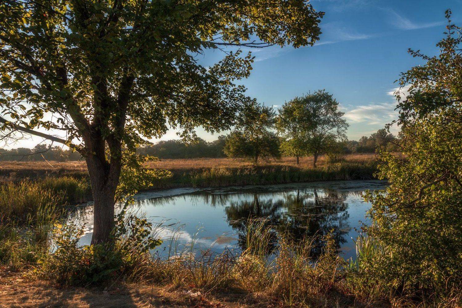 , Владимир Костылев