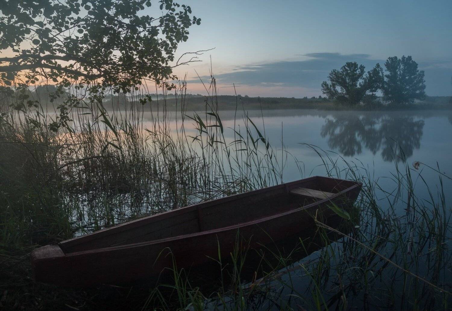 , Александр Бредихин