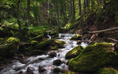 Шантацара... и немного солнца...