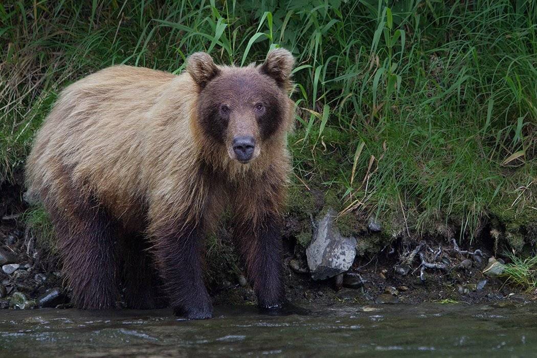 , Петрова Татьяна