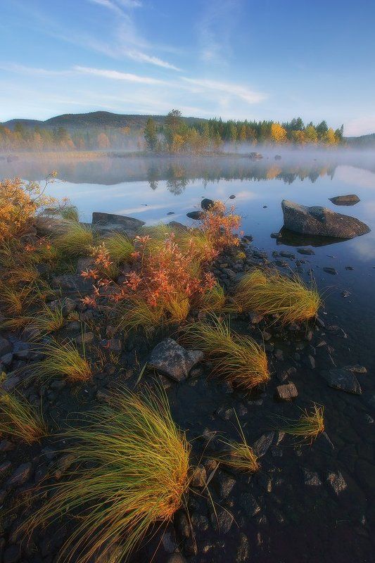 мурманская, лапландия, заполярье, кольский,осень,туман Заполярная осень фото превью