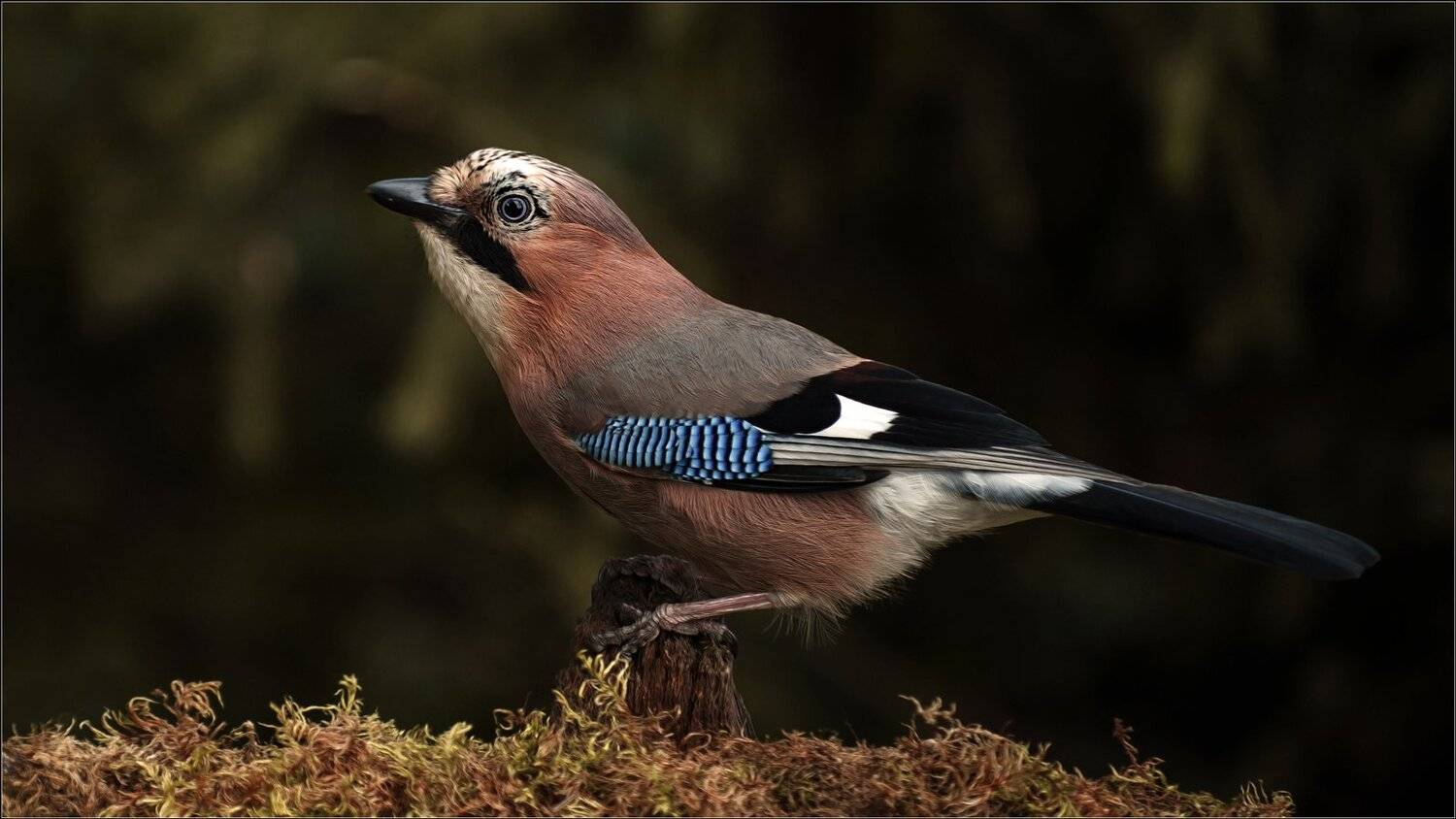 , Валерий Субачев