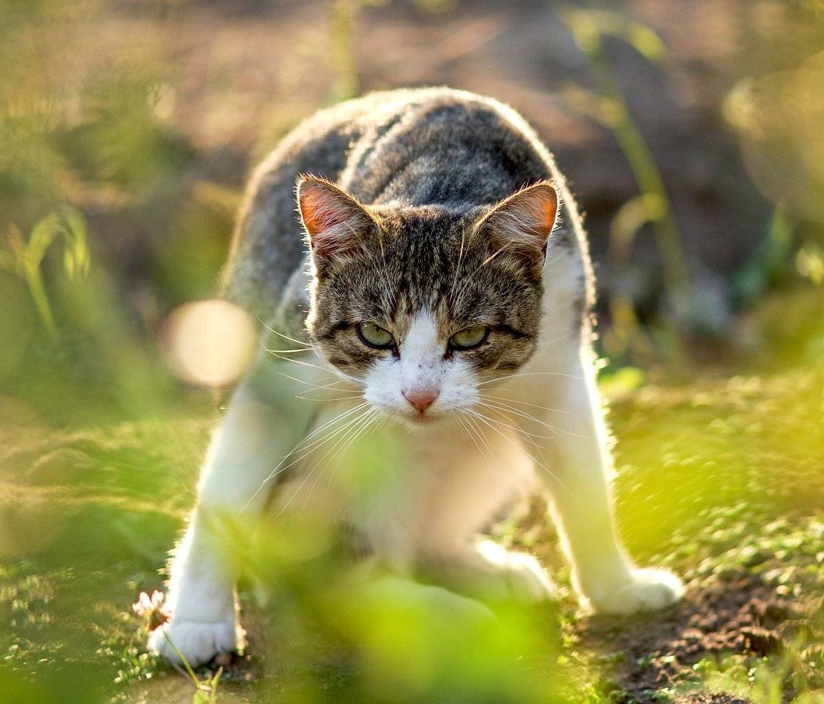 , Сергей (Bekr)