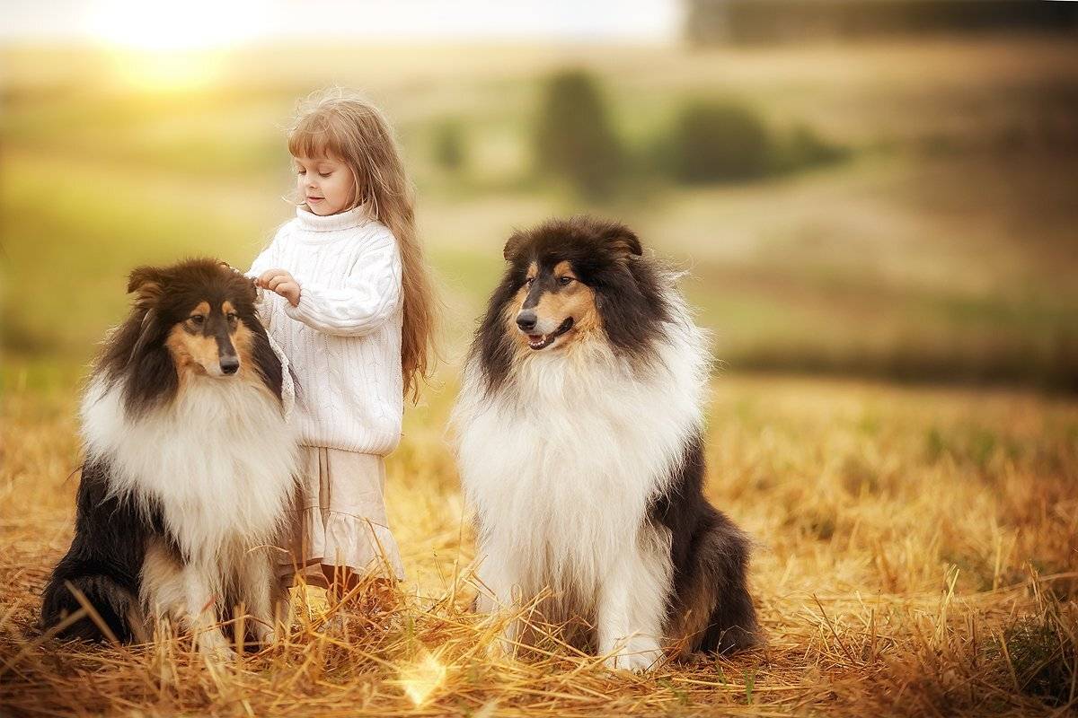 , Сайгина Ольга