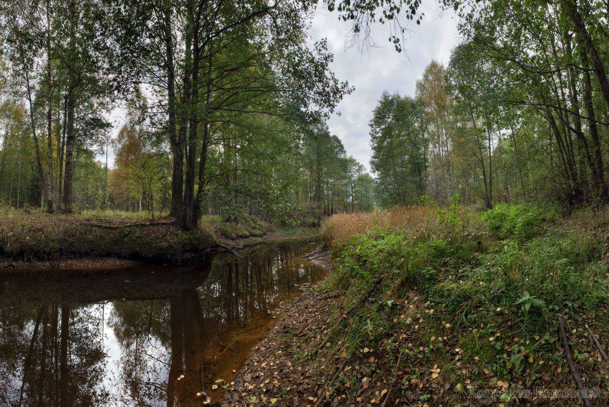 , Хохряков Николай