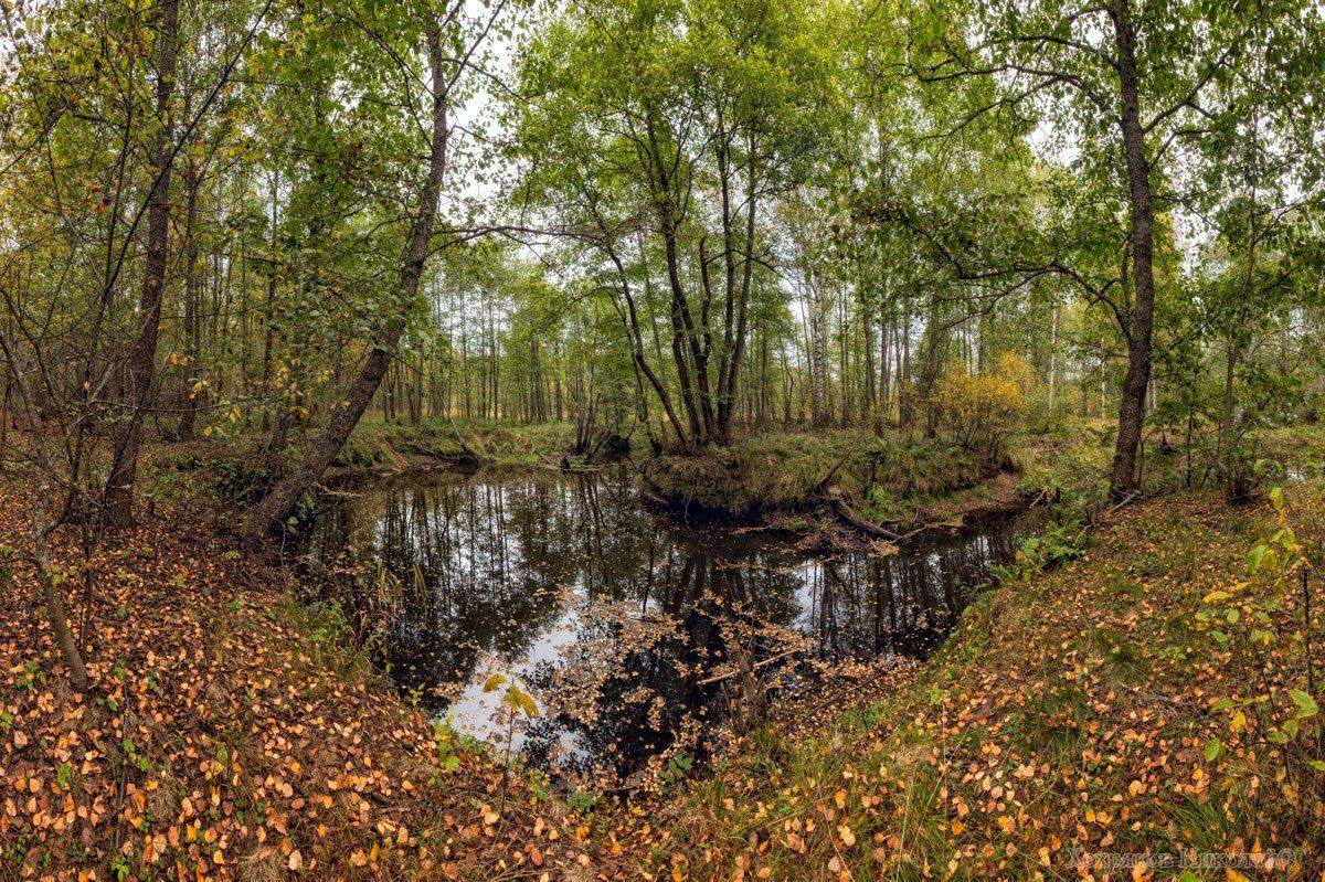 , Хохряков Николай
