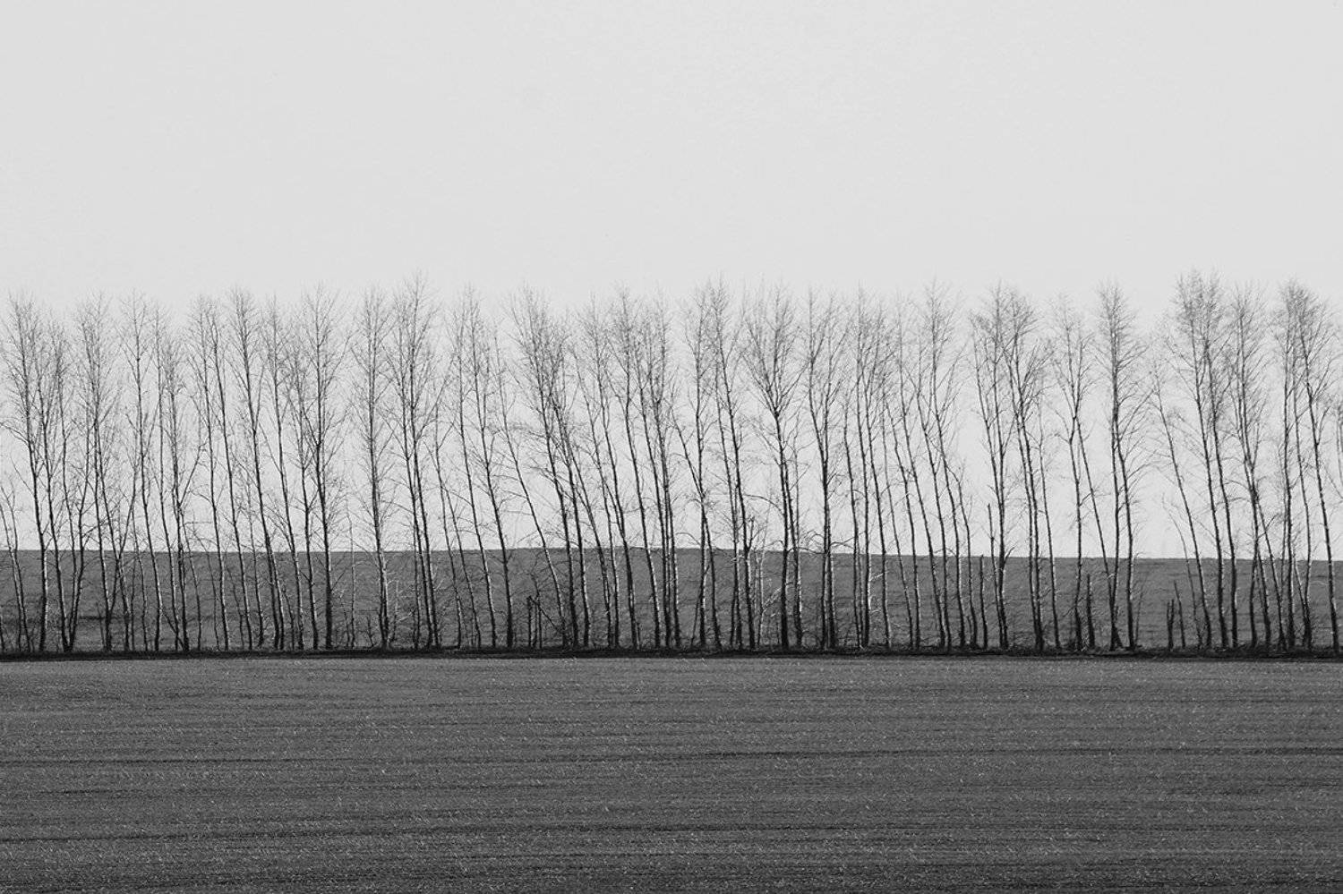 , Роман Рыжков