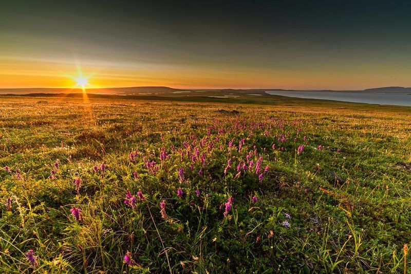 *** фото превью