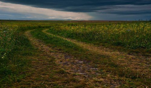 В степи перед грозой