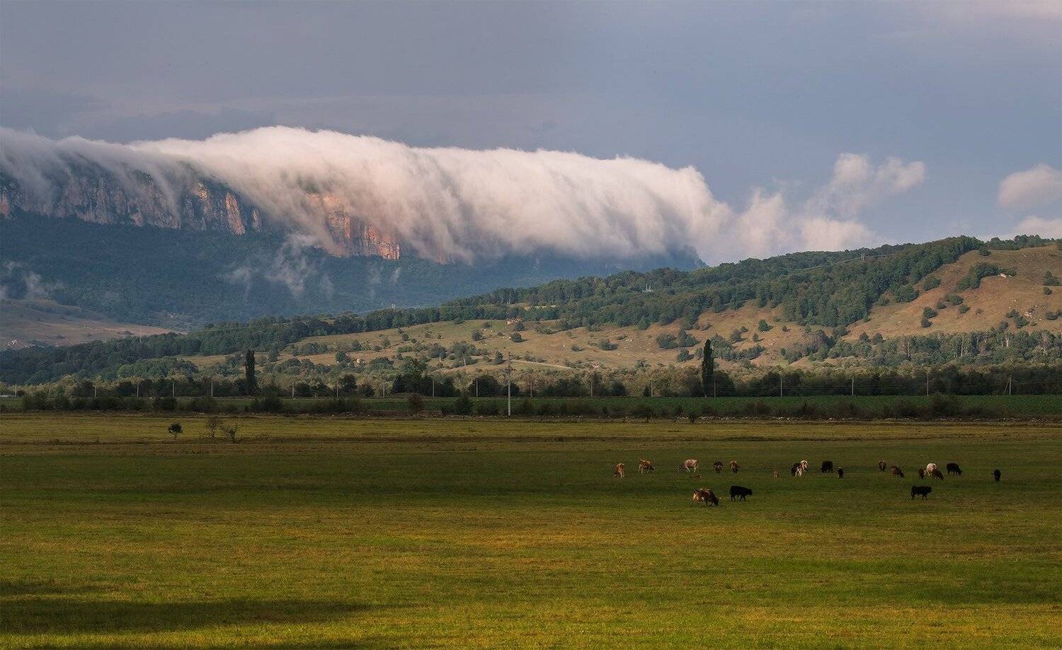 , Николай Мысливцев