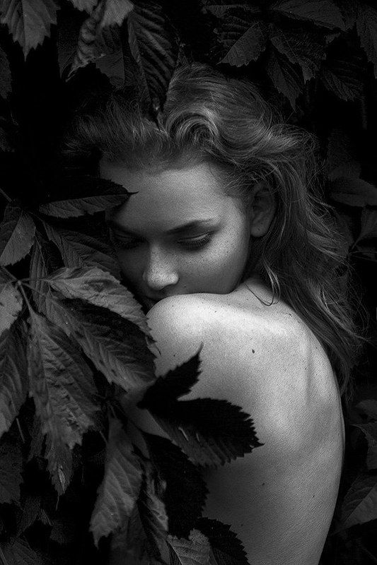 An1 фото превью