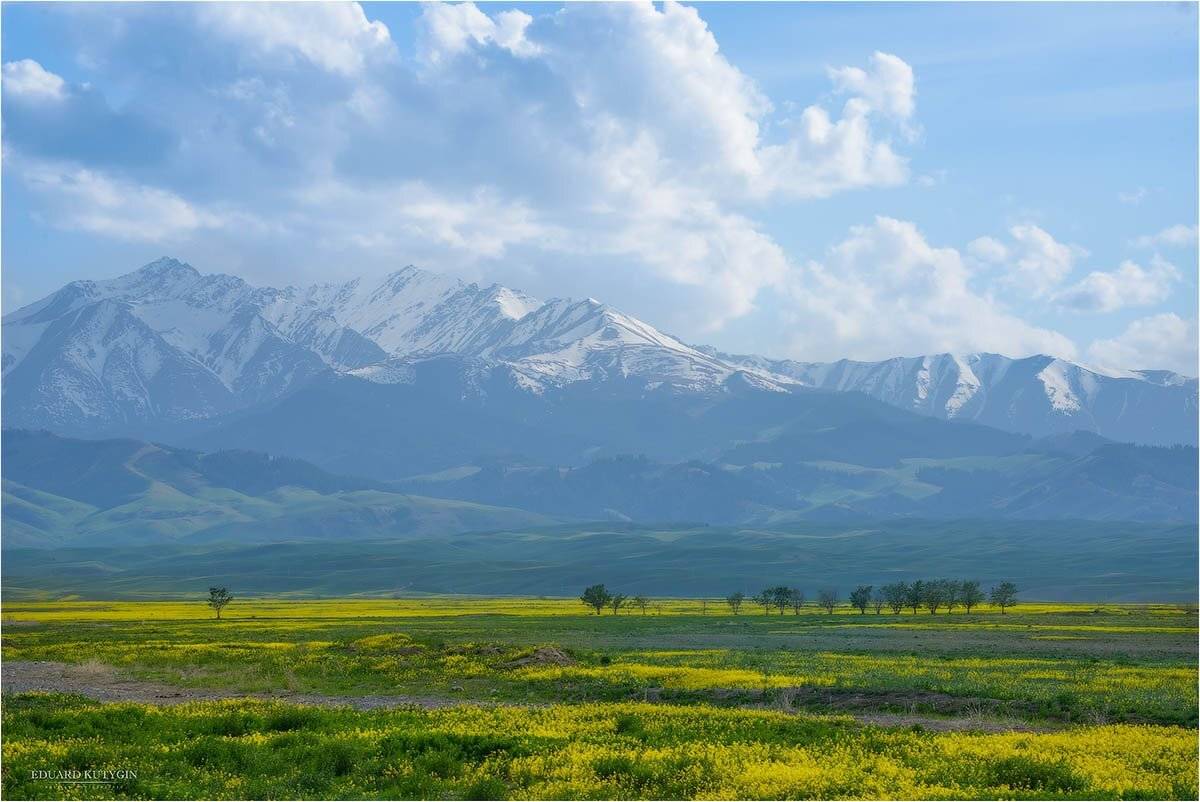 , Кутыгин Эдуард