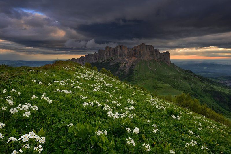 *** фото превью
