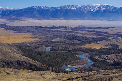 Чуйские петли в Курайской степи