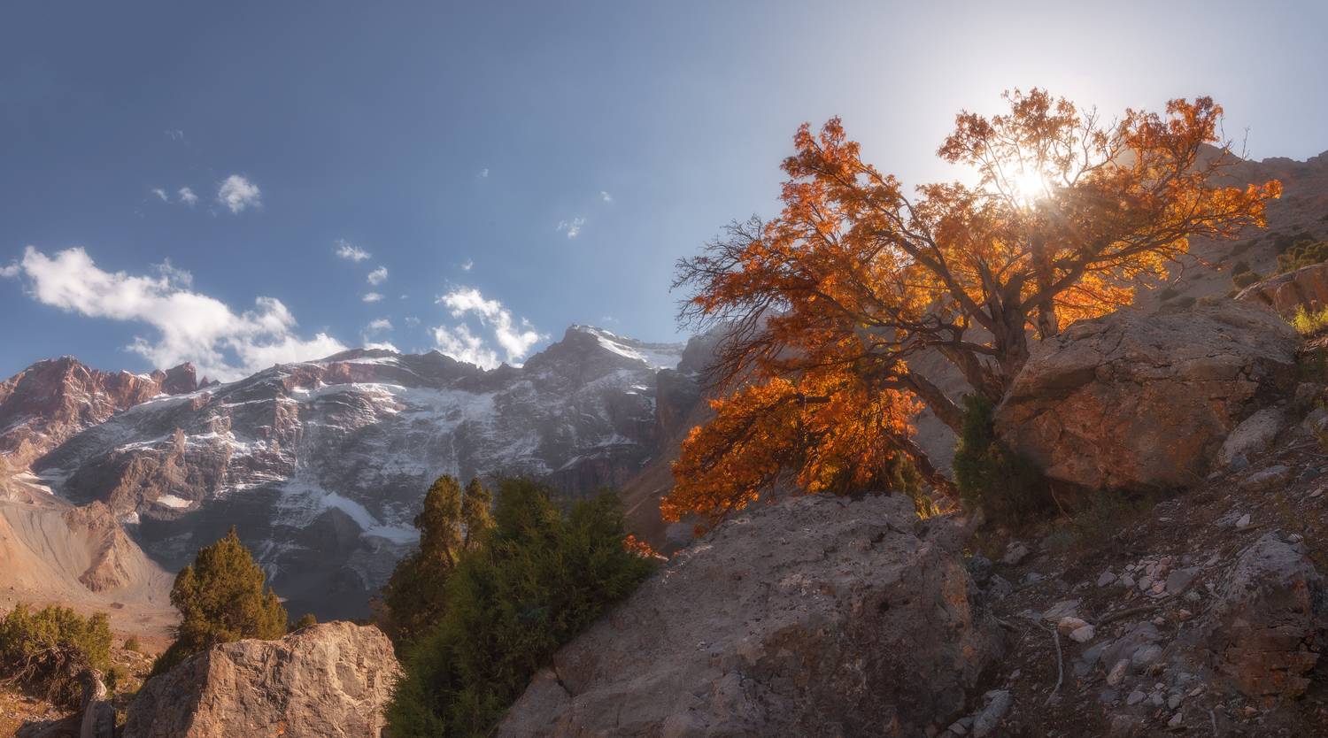 , Кахарова Наргиза