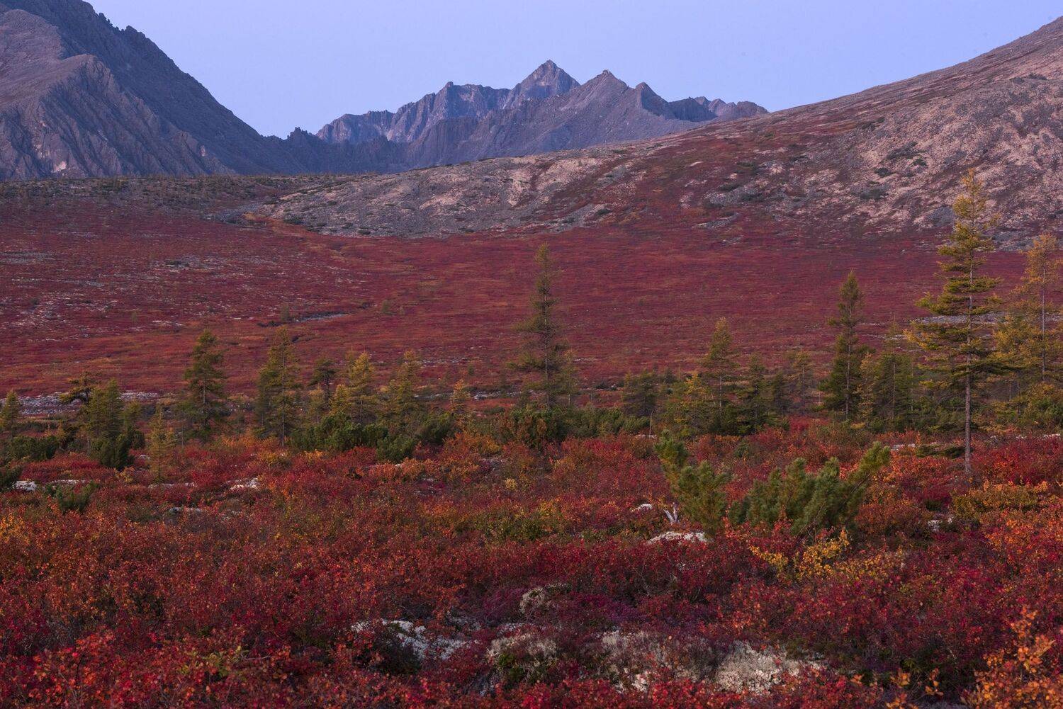 Фототуры с Владимиром Рябковым, #topnature #russpasibo #magic_shots #lovelyRussia #sunset_vision #exclusive_sky  #exclusive_shots #loves_russia2 #photoarena_nature #nature_sultans #nature_perfection #rsa_sky #rsa_sunset #photorussia #rsa_naturepics #sunse, Владимир Рябков