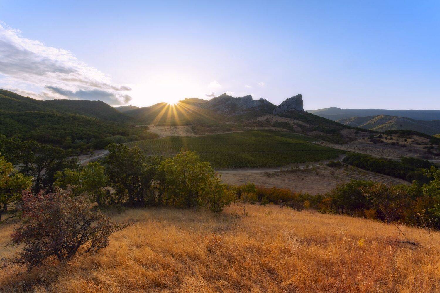 , Юлия Мальцева