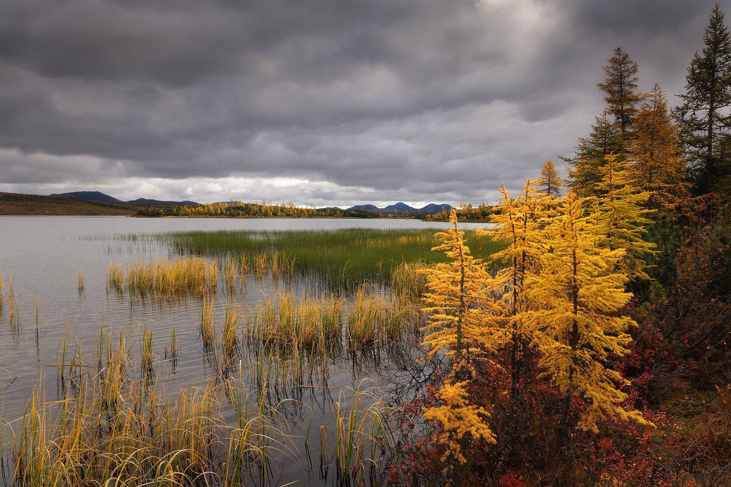 , Морозов Сергей