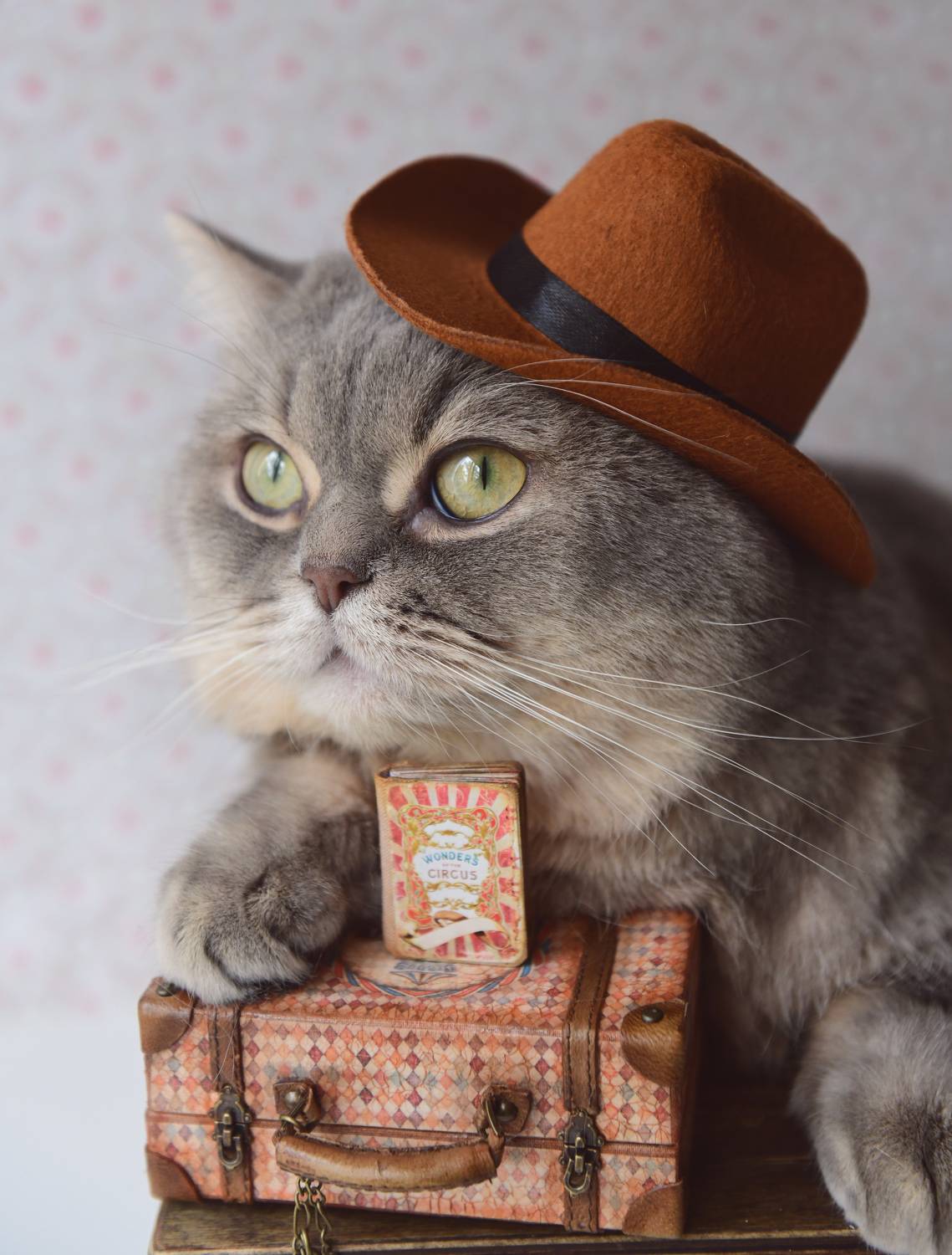 , Божена Пучко