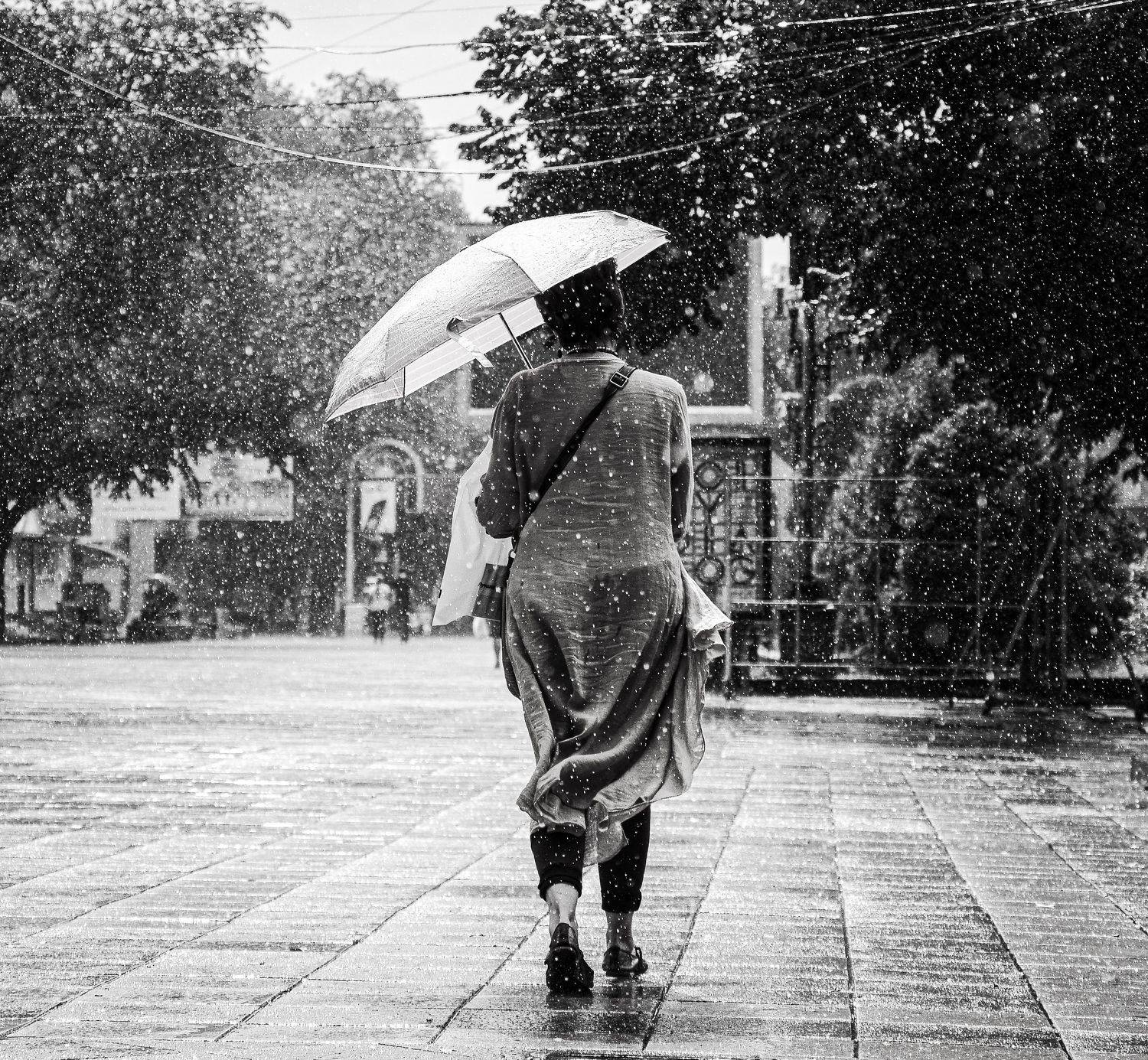 шаварёв, стрит,, Александр Шаварёв