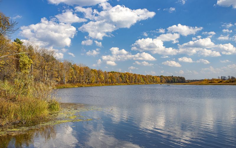 старица, осень, лес, вода, облака Вступила Осень в терем золотой фото превью