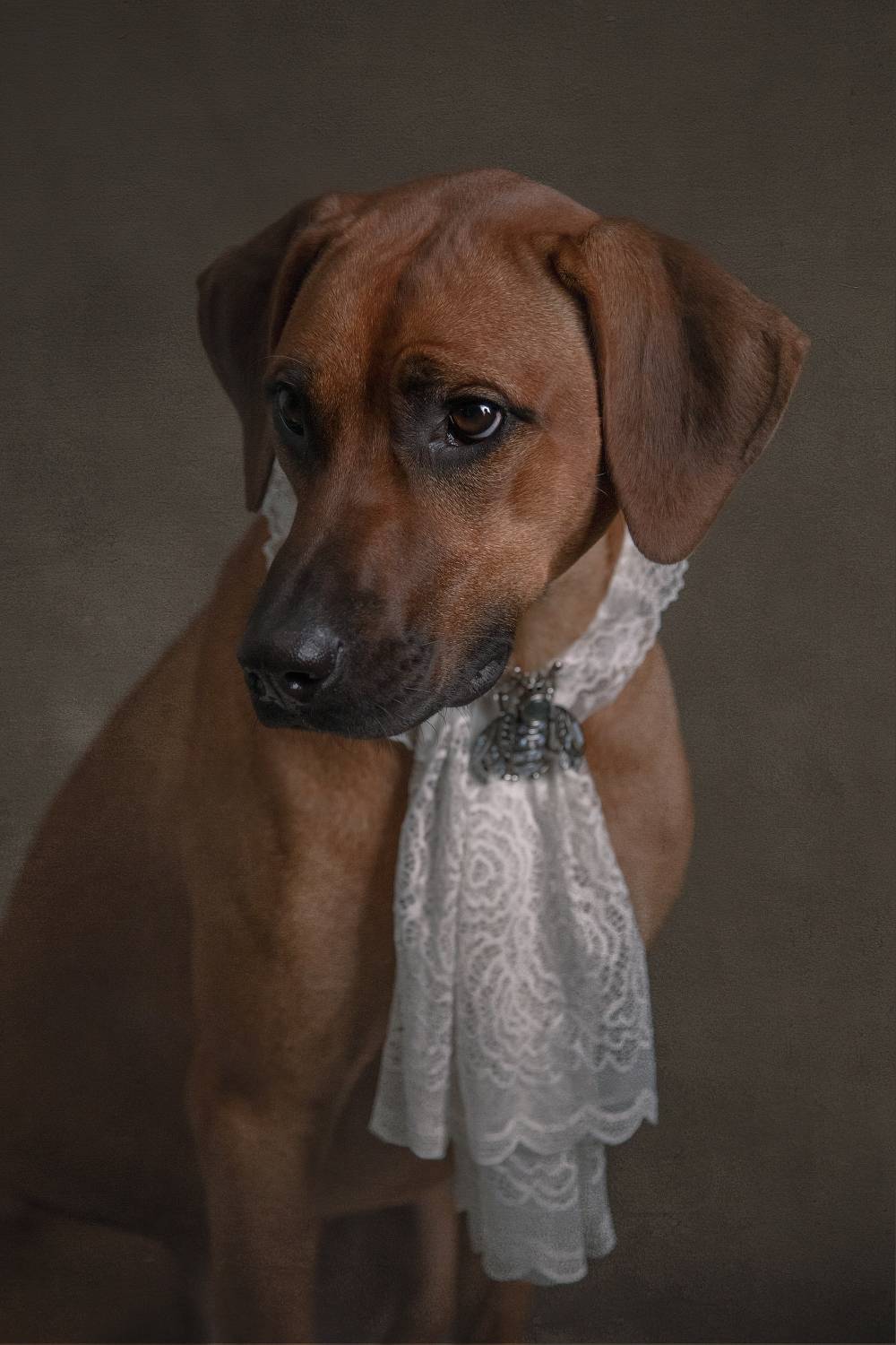 , Ященко Анастасия